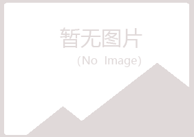 清河区夜山工程有限公司